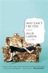 Allie Larkin - Why Can't I Be You