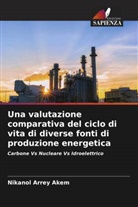 Nikanol Arrey Akem - Una valutazione comparativa del ciclo di vita di diverse fonti di produzione energetica