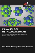 Enos Masheija Rwantale Kiremire, Prof. Enos Masheija Rwantale Kiremire - L'ANALISI DEI METALLOCARBORANI