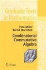 Ezra Miller, Bernd Sturmfels - Combinatorial Commutative Algebra