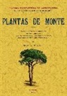J. P. y A. - Plantas de monte : plantas arbustivas y herbáceas, plantas arbóreas, árboles maderables, fructíferos y otros. (Sus caracteres, variedades, cultivo, efermedades, etc.)