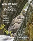 Joe McDaniel - Wildlife In Parker