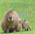 Andrew Bleiman, Chris Eastland - Zooborns! When I'm Big
