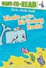 Erica S Perl, Erica S Perl, Sam Ailey, Sam Ailey - Whale and the Birthday Rocks