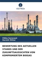 Harshit Mittal, Vibha Saraswat - BEWERTUNG DES AKTUELLEN STANDS UND DER ZUKUNFTSAUSSICHTEN VON KOMPRIMIERTEM BIOGAS
