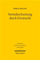 D&ouml;rte Poelzig - Normdurchsetzung durch Privatrecht
