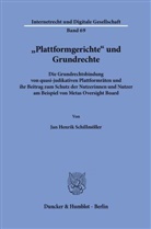 Jan Henrik Schillmöller - "Plattformgerichte" und Grundrechte