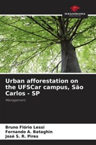 Fernando A. Bataghin, Bruno Flório Lessi, José S. R. Pires - Urban afforestation on the UFSCar campus, São Carlos - SP