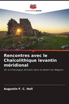 Augustin F. C. Holl - Rencontres avec le Chalcolithique levantin méridional