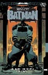 Nick Dragotta, Scott Snyder - Absolute Batman Vol. 1: The Zoo