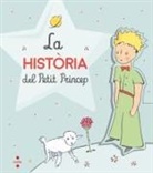 Antoine de Saint-Exupéry, Antoine de Saint-Exupéry - La història del Petit Príncep