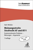 Christian Fahl, Klaus Winkler - Meinungsstreite Strafrecht AT und BT/1