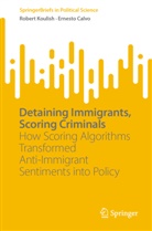 Ernesto Calvo, Robert Koulish - Detaining Immigrants, Scoring Criminals