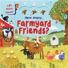 Autumn Publishing - How Many Farmyard Friends?