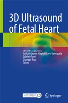 Edward Araujo Júnior, Nathalie Jeanne Bravo-Valenzuela, Nathalie Jeanne Magioli Bravo-Valenzuela, Nathalie Jeanne Bravo-Valenzuela, Nathalie Jeanne Magioli Bravo-Valenzuela, Giuseppe Rizzo... - 3D Ultrasound of Fetal Heart