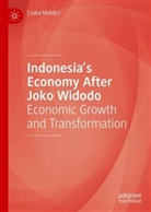 Csaba Moldicz - Indonesia's Economy After Joko Widodo