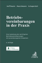 Bianca Bigos, Frank Maschmann, Susanne Schaperdot - Betriebsvereinbarungen in der Praxis