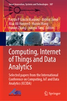 Alaa Ali Hameed et al, Fausto P Garcia Marquez, Alaa Ali Hameed, Akhtar Jamil, Haixin Wang, Junyou Yang... - Computing, Internet of Things and Data Analytics