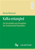 Nicolas Weisensel - Kafka entangled