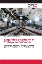 Miguel Ángel Ovallos Moreno - Seguridad y Salud en el Trabajo en Colombia