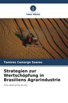Tamires Camargo Soares - Strategien zur Wertschöpfung in Brasiliens Agrarindustrie
