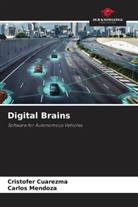 Cristofer Cuarezma, Carlos Mendoza - Digital Brains