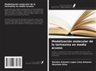 Kleuton Antunes Lopes Lima Antunes, Heurison Silva - Modelización molecular de la tartrazina en medio acuoso