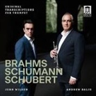 Brahms,Schumann & Schubert: Originaltranskriptione (Audio book)