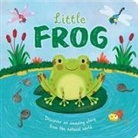Igloobooks, Gisela Bohórquez - Nature Stories: Little Frog-Discover an Amazing Story from the Natural World: Padded Board Book
