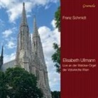 Schmidt - Orgelwerke (Audio book)