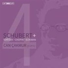 Schubert + Vorisek + Chopin + Skrjabin (Audiolibro)