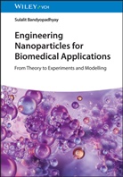 Sulalit Bandyopadhyay - Engineering Nanoparticles for Biomedical Applications