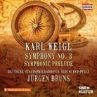 Weigl: Sinfonie Nr. 3 B-Dur/Symphonisches Vorspiel (Audiolibro)