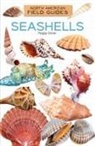 Peggy Snow - Seashells