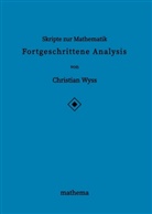 Christian Wyss - Skripte zur Mathematik - Fortgeschrittene Analysis