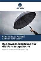 Carliana Rouse Favretto, Andrea Souza Castro - Regenwassernutzung für die Fahrzeugwäsche