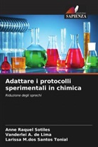 Vanderlei A. de Lima, Larissa M. dos Santos Tonial, Larissa M.dos Santos Tonial, Anne Raquel Sotiles - Adattare i protocolli sperimentali in chimica