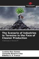 Eldelita Á. P. Franco, Leonardo Bezerra Lima, Luvânia Dias Gomes - The Scenario of Industries in Teresina in the Face of Cleaner Production