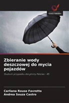 Carliana Rouse Favretto, Andrea Souza Castro - Zbieranie wody deszczowej do mycia pojazdów