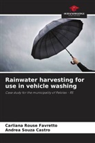 Carliana Rouse Favretto, Andrea Souza Castro - Rainwater harvesting for use in vehicle washing
