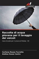 Carliana Rouse Favretto, Andrea Souza Castro - Raccolta di acqua piovana per il lavaggio dei veicoli