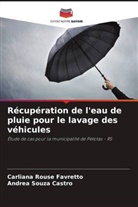 Carliana Rouse Favretto, Andrea Souza Castro - Récupération de l'eau de pluie pour le lavage des véhicules