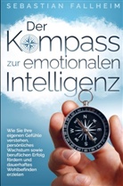 Sebastian Fallheim, Sebastian Fallheim - Der Kompass zur emotionalen Intelligenz