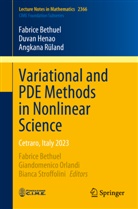 Fabrice Bethuel, Duvan Henao, Angkana Rüland, Fabrice Bethuel, Giandomenico Orlandi, Bianca Stroffolini - Variational and PDE Methods in Nonlinear Science
