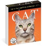 Workman Calendars, Workman Calendars - Cat Gallery Calendar 2025