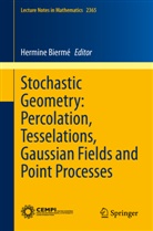 Hermine Biermé - Stochastic Geometry: Percolation, Tesselations, Gaussian Fields and Point Processes