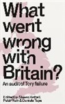 Steven Kerr Kettell, Kerr Peter, Kettell Steven, Tepe Daniela - What Went Wrong With Britain?