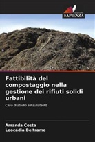 Leocádia Beltrame, Amanda Costa - Fattibilità del compostaggio nella gestione dei rifiuti solidi urbani
