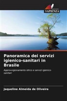 Jaqueline Almeida de Oliveira - Panoramica dei servizi igienico-sanitari in Brasile