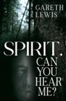 Gareth Lewis - Spirit, Can You Hear Me?